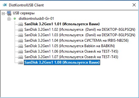 DistkontrolUSB Client Windows